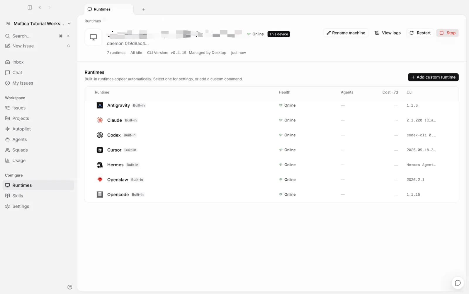Runtime detail: the detected AI coding tools